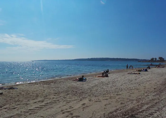 Lejlighed Les Algues Cannes